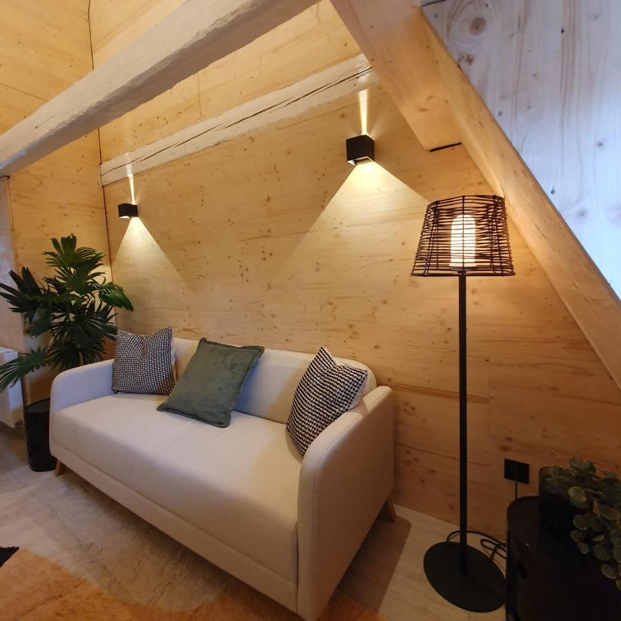 Les Appartements Hyper Centre Strasbourg Kültér fotó