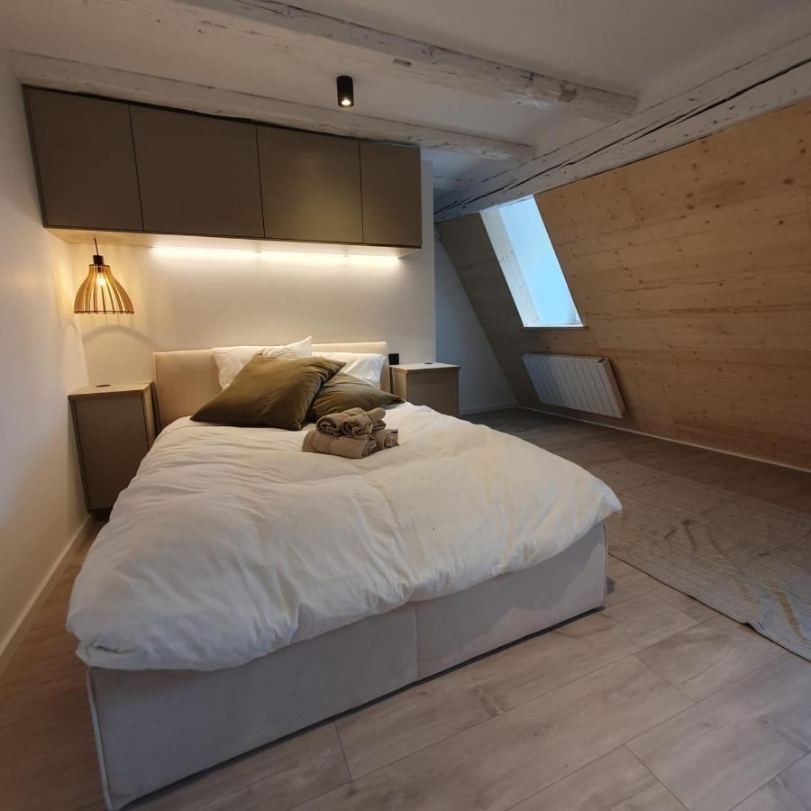 Les Appartements Hyper Centre Strasbourg Kültér fotó