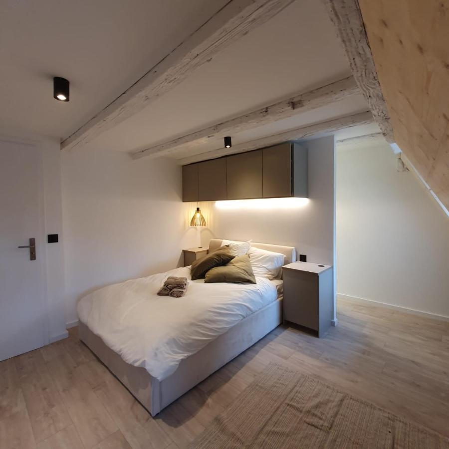 Les Appartements Hyper Centre Strasbourg Kültér fotó